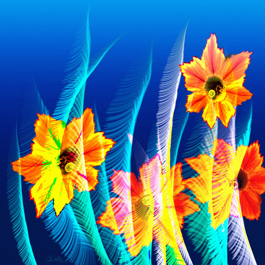 museum ofl open future landscapes, Grafik von Christine Kahlert